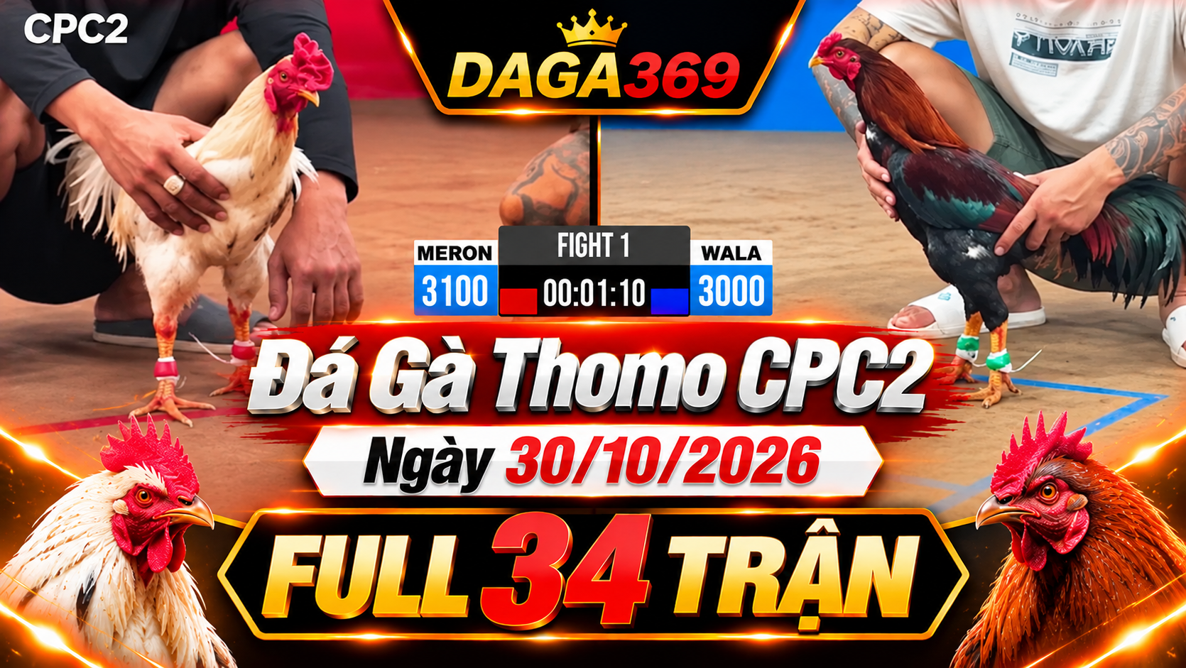 Đá Gà Thomo CPC2 Ngày 30/10/2026 – Full 34 Trận | DAGA369